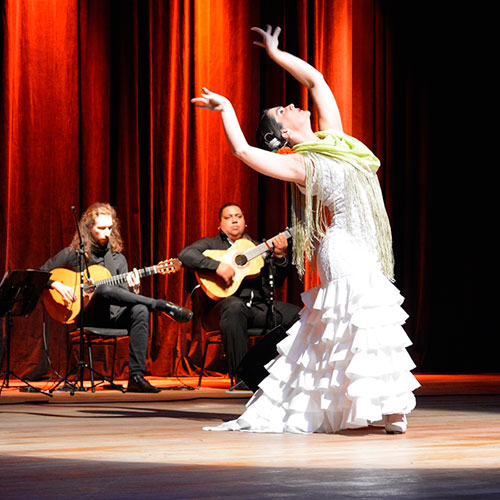 Alma Flamenca